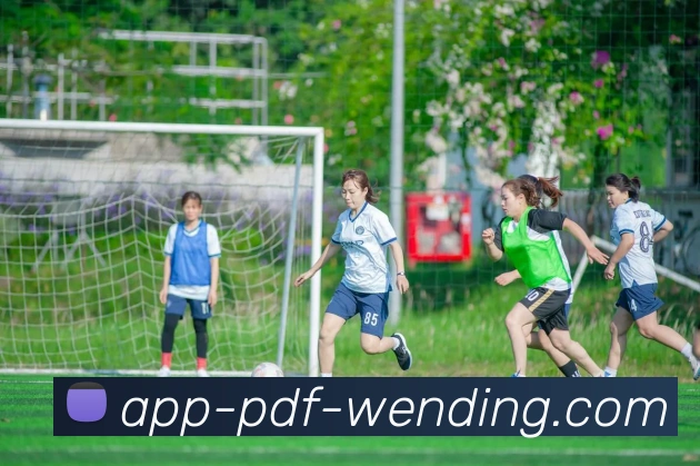 App Interface Preview